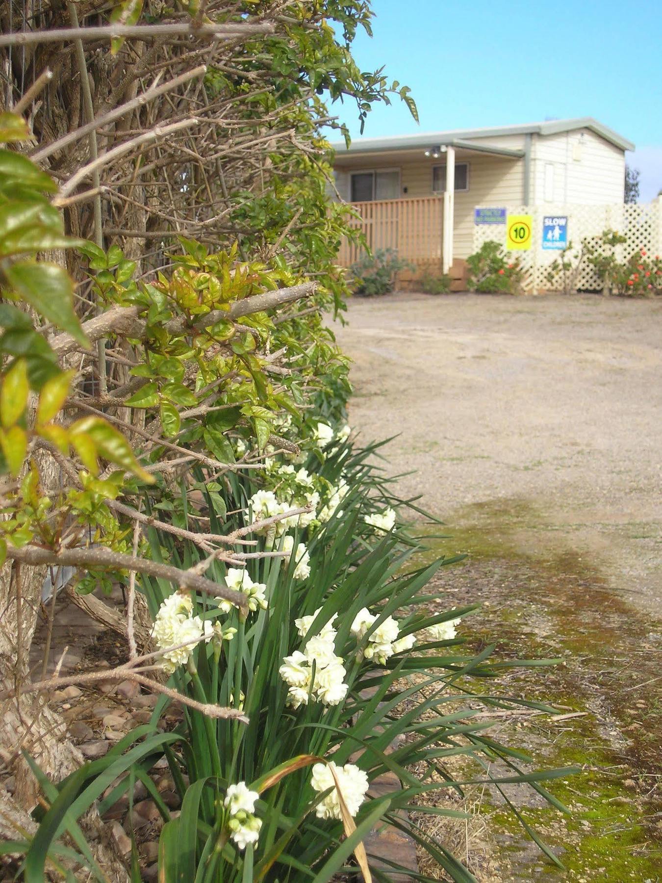 Moonta Bay Accommodation Port Moonta Exterior foto